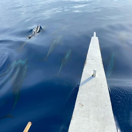 Nitasnipahut Pamilacan Island Luaran gambar